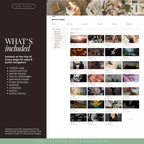 book & reading tracker | notion template