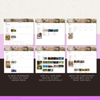video game & play tracker | notion template