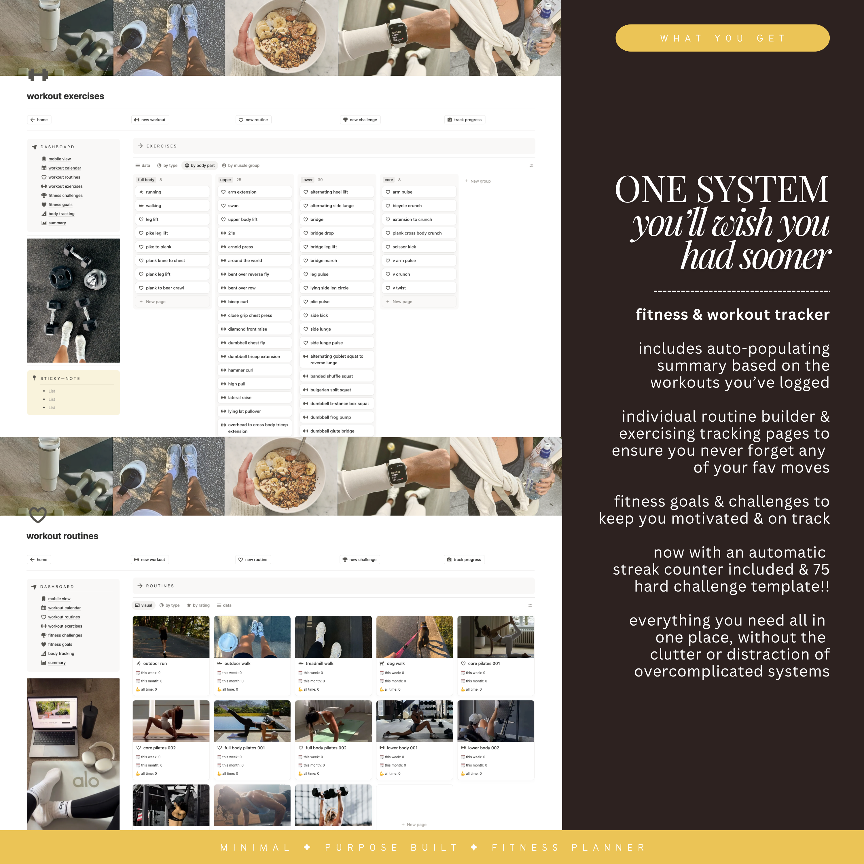 fitness & workout tracker | notion template